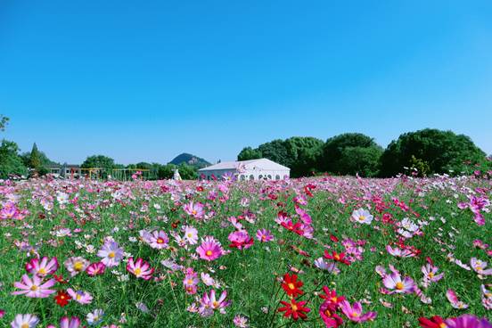 ΢��ͼƬ_20210428132933